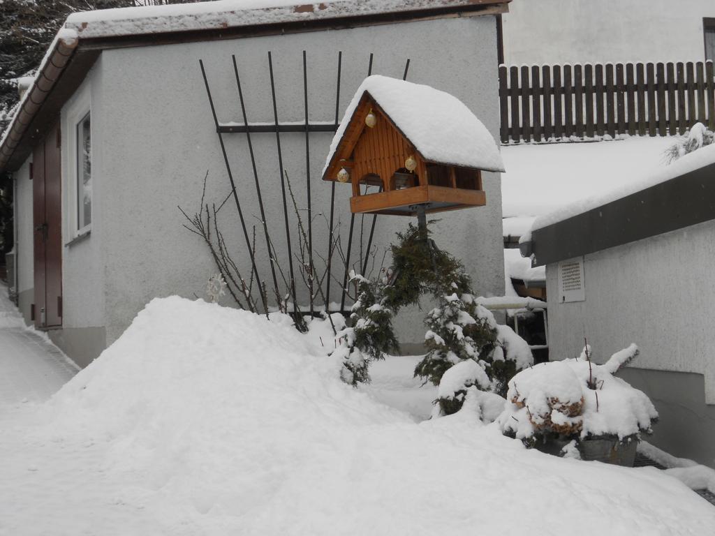 Ferienhaus Zittau Oberlausitz & Ferienwohnung Am Hamann Berg Dış mekan fotoğraf