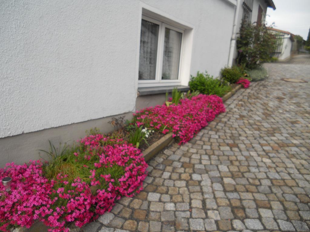 Ferienhaus Zittau Oberlausitz & Ferienwohnung Am Hamann Berg Dış mekan fotoğraf
