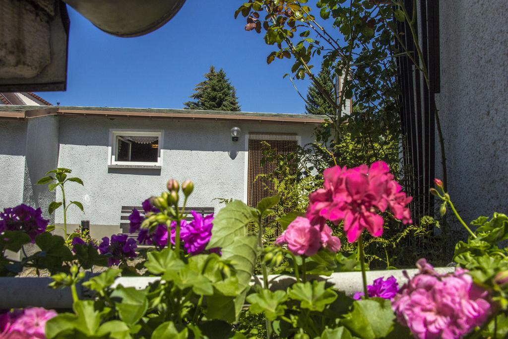 Ferienhaus Zittau Oberlausitz & Ferienwohnung Am Hamann Berg Dış mekan fotoğraf